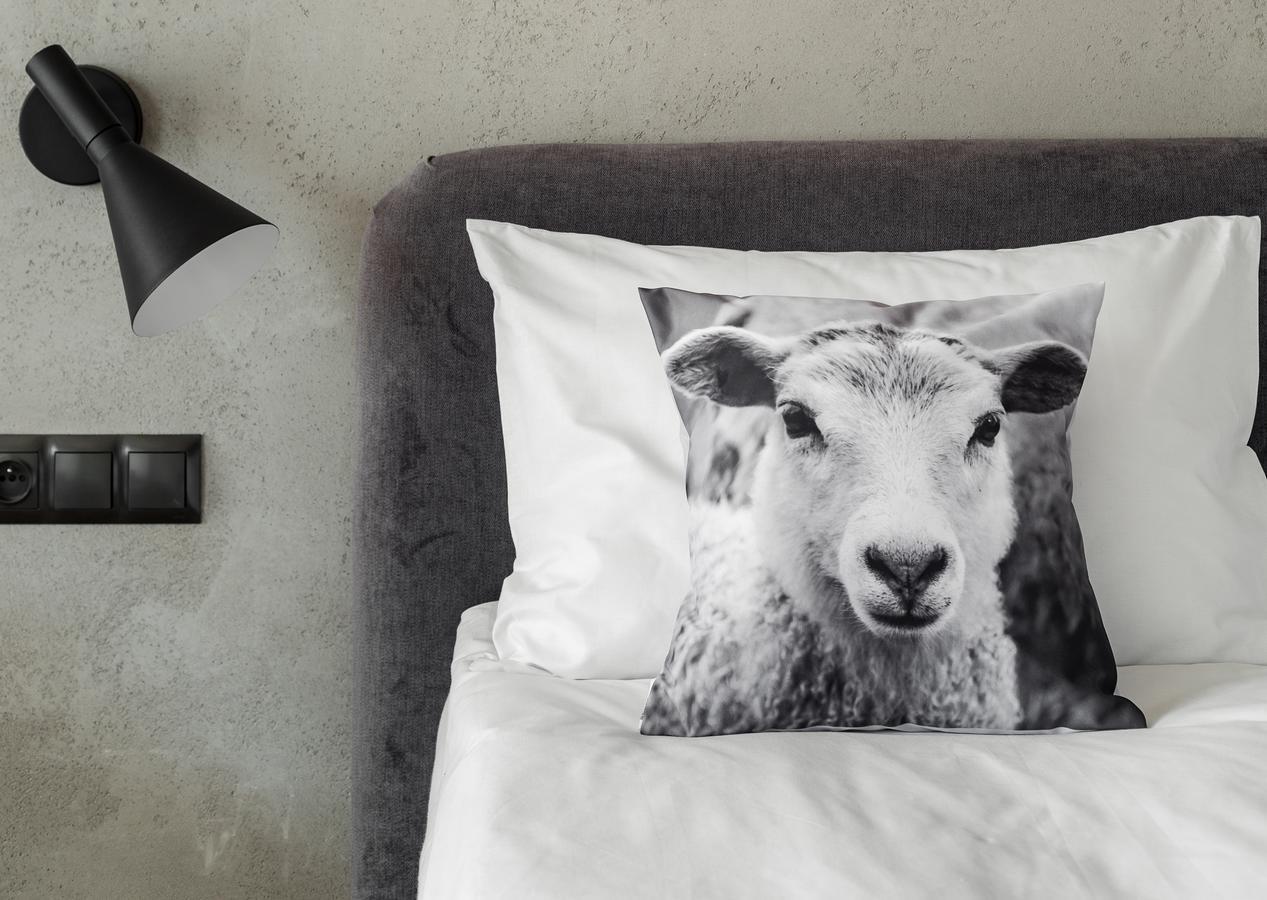 Biala Owca Panzió Zakopane Kültér fotó A cushion cover